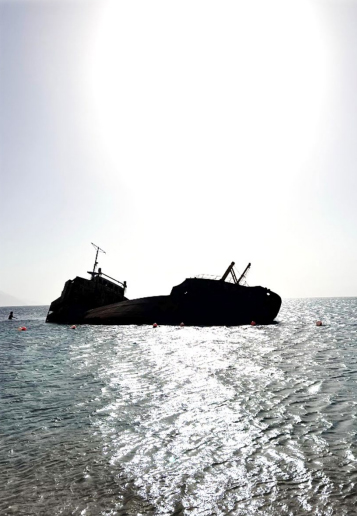 blog