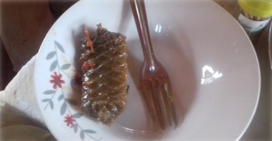 blog