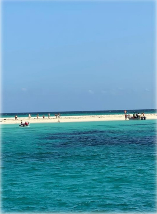 blog