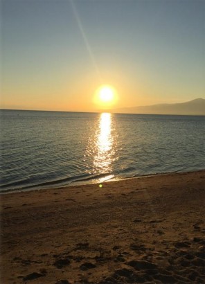 blog
