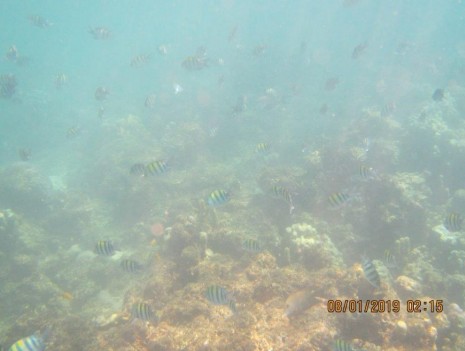 blog